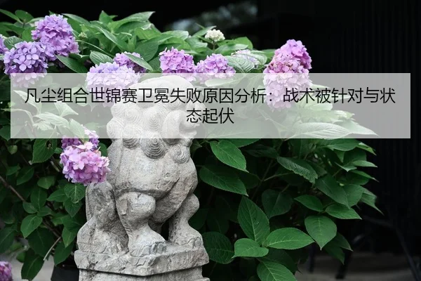 fan-chen-zu-he-shi-jin-sai-wei-mian-shi-bai-yuan-yin-fen-xi-zhan-shu-bei-zhen-dui-yu-zhuang-tai-qi-fu-2-100.jpg