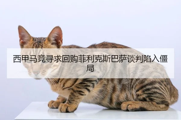 西甲马竞寻求回购菲利克斯巴萨谈判陷入僵局
