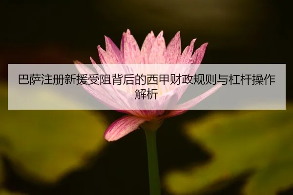 ba-sa-zhu-ce-xin-yuan-shou-zu-bei-hou-de-xi-jia-cai-zheng-gui-ze-yu-gang-gan-cao-zuo-jie-xi-2-475.jpg